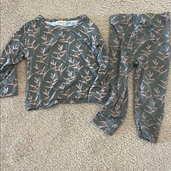 Of One Sea 2T Leaf Pattern Pajama Set in Green - Picture 1 of 2